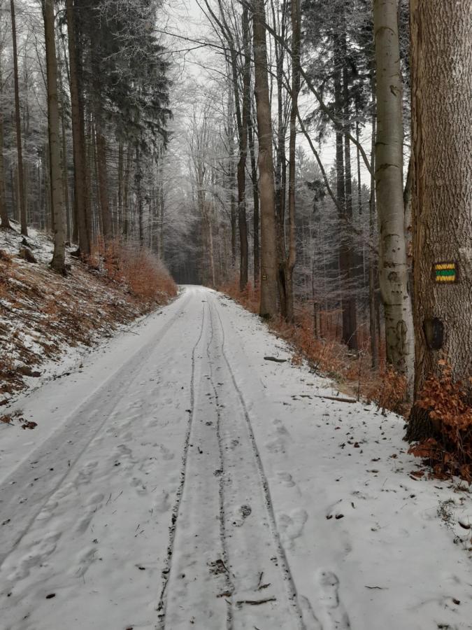 Chalupa Sedmidvory Wermsdorf Exterior foto