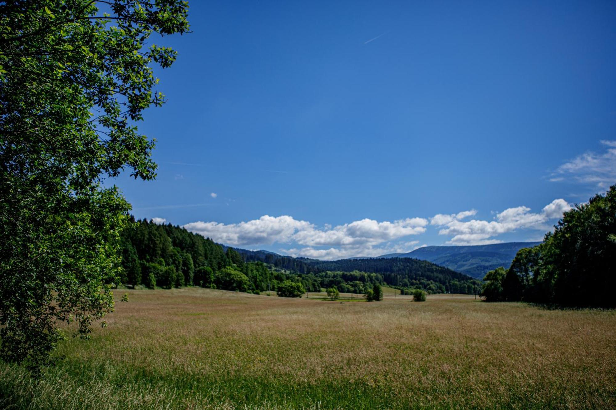 Chalupa Sedmidvory Wermsdorf Exterior foto